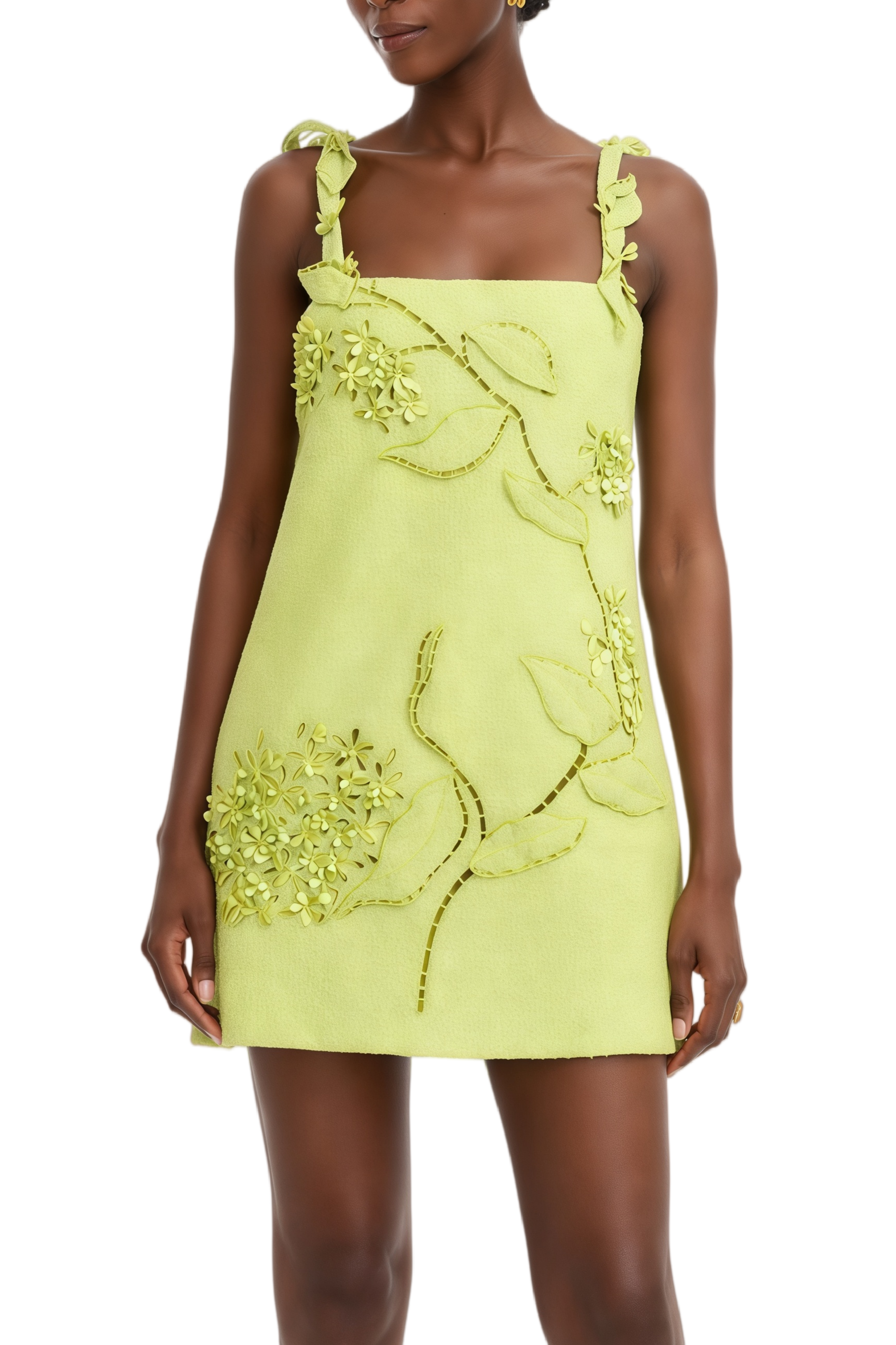 Elsa Green 3D Floral Appliqué Embroidered Mini Dress